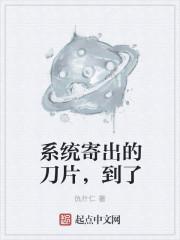 系统寄出的刀片