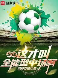 足球这才叫全能型中场啊txt