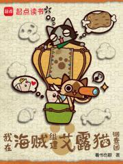 我在海贼组建艾露猫调查团的