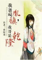 我是胤禛的额娘(清穿)