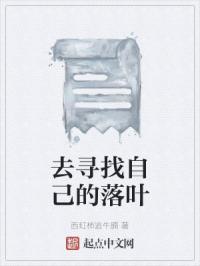 寻找一片最美的落叶