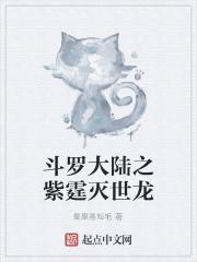 斗罗大陆之紫电神龙