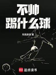 不帅踢什么球无防盗