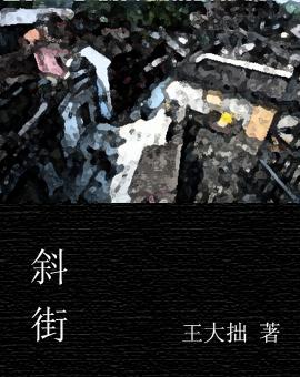 斜街王小二炒鸡司家营店