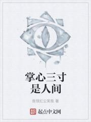 掌心三寸是人间上一句全诗