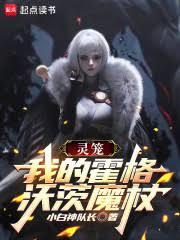 霍格沃茨之遗魔杖