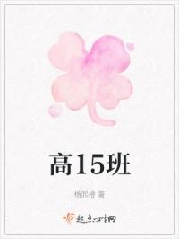 高15班班徽