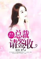 甜妻嫁一送一总裁