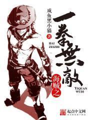 海贼之一拳无敌txt