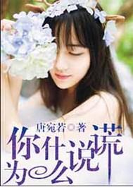 你为什么说谎原唱