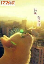 转世变成猫娘