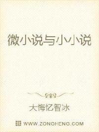 微与小续集