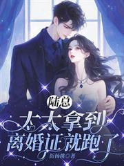 陆总太太拿到离婚证就跑了后续