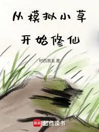 从模拟小草开始修仙作者村西潜龙