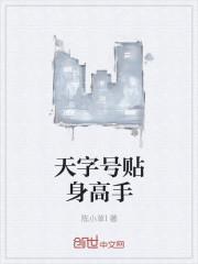 贴吧的贴身高手