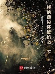 朕的奥匈还能抢救一下 起点