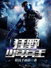 少年狂兵免费阅读
