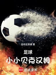 足球小小贝克汉姆86