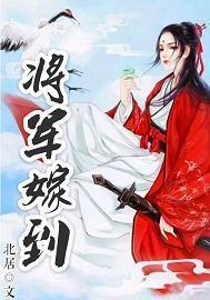 将军嫁到2 风漫说