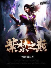 紫禁之巅电视剧在线观看免费