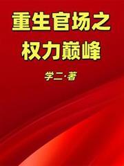 重生官场之权力巅峰林毅