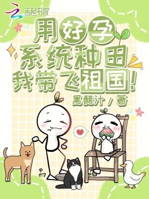 用好孕系统种田