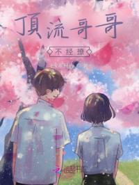 顶流哥哥不经撩免费阅读