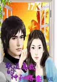 霸道总裁的神秘私宠