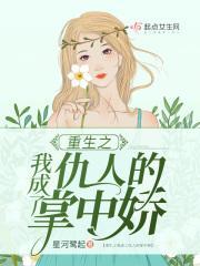 我成了仇敌的人txt