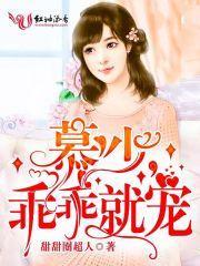 慕少乖乖就宠免费