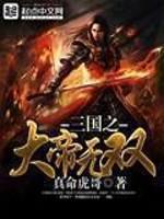 三国之大帝系统