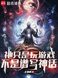 只是打游戏而已