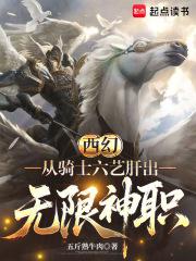 西幻骑士等级划分