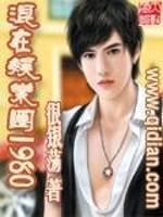 混在娱乐圈1980 很银荡