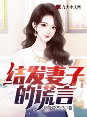 结发妻子的谎言电视剧