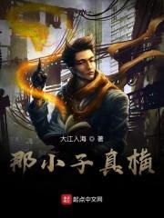 主角全职业宗师的