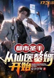 都市医仙圣手免费完整版