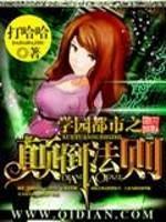 学园都市之颠倒法则书包