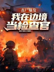 我在边境当检察官