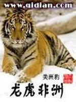龙虎tiger
