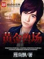 黄金兽要什么技能