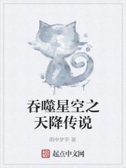 吞噬星空之天降传说免费阅读