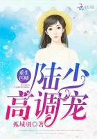 重生陆少小娇医