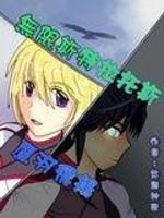 无限斯特拉托斯机体