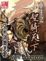 重生之神圣骑士