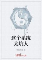 这个系统太棒了