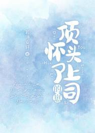 怀了顶头上司的崽晋江文学网