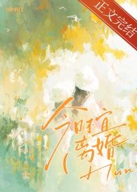 今日不宜离婚北途川免费阅读