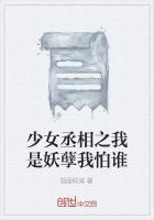 少女丞相之我是妖孽我怕谁攻略他