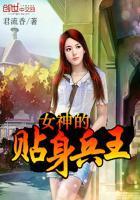 女神的贴身兵王 君流香